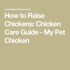 the words how to raise chickens chicken care guide - my pet chicken is in white