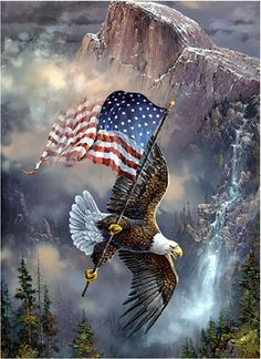 an eagle flying with the american flag on it's back in front of a waterfall