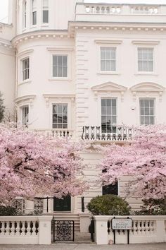 a large white building with pink flowers on the trees