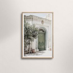 an olive tree is in front of a green door on a white wall with a potted plant next to it