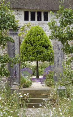 an open door leading to a garden with flowers and plants around it, in front of a stone building