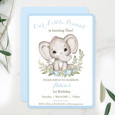 an elephant birthday party card with the words out little peanut is turning one