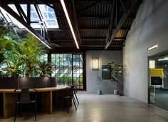 an office with large windows and plants in the center, along with two desks