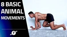 a man in black trunks and no shirt is doing an exercise on a bed with the words 8 basic animal movements