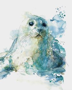 a watercolor painting of a sea lion