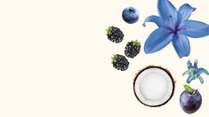 blue flowers, fruit and coconuts on a white background