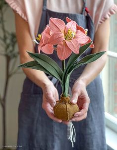 a person holding a plant with pink flowers in it's hands while standing next to a window