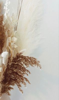 dried flowers in a white vase on a table