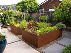 a garden filled with lots of different types of plants