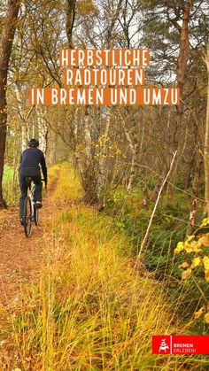 Ein Mann fährt mit dem Fahrrad einen Waldweg entlang. Bike