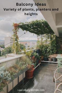 an outdoor balcony with plants and potted plants on the roof, text reads balcony ideas variety of plants, planters and heights