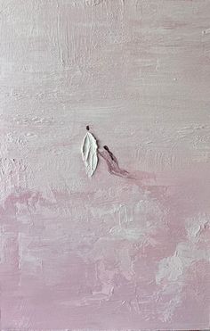 a pink wall with a white leaf on it