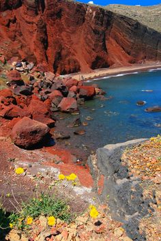 the beach is surrounded by red rocks and water with yellow flowers growing on it's shore