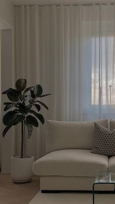 Faux plant, planter, beige sofa, sheer curtains, white aesthetic, White Apartment Decor, Sheer White Curtains, White Curtains Bedroom, Lounge Interior, Room Minimal, Neutral Sofa, White Apartment, Minimal Living Room