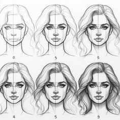 an image of a woman's face with different facial shapes and hair length chart