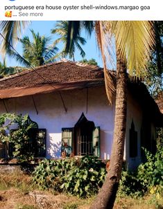 an old white house with green shutters and palm trees in the foreground,