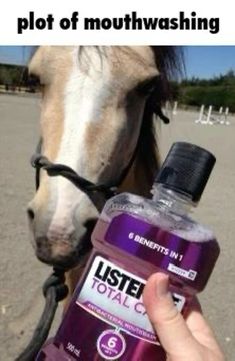 a person holding a bottle of mouthwash next to a horse