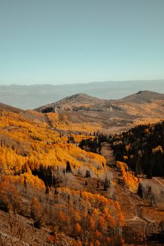 the mountains are covered in yellow and orange trees