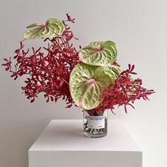 a vase filled with red and green plants