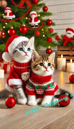 two kittens dressed up in christmas sweaters and hats sitting next to each other