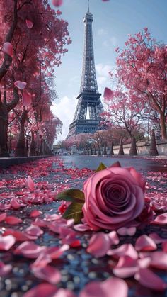 the eiffel tower is surrounded by pink petals