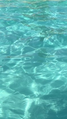 the water is very clear and blue with little ripples on it's surface