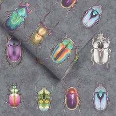 a group of colorful bugs on a gray background