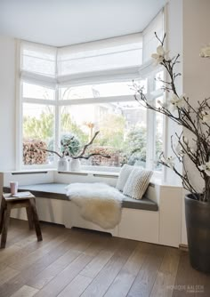 a window seat in front of a large window with white flowers on the windowsill