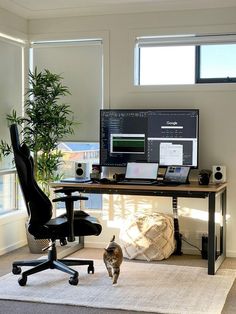 a desk with two computers and a cat on the rug in front of it,