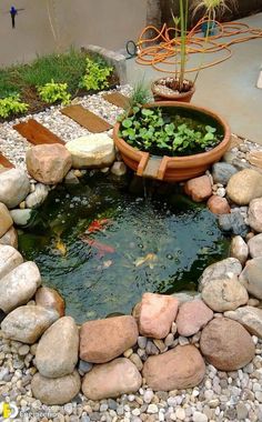 a fish pond surrounded by rocks and plants