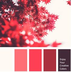 red leaves on a tree with white background and text below it that says enjoy your creative colors