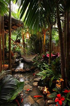 a tropical garden with lots of plants and fish in the water, surrounded by palm trees