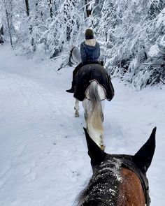 a person riding on the back of a brown horse in snow covered forest next to trees