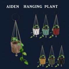 four hanging planters with plants in them and the words, alden hanging plant