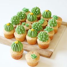 cupcakes decorated with green frosting and cactus designs on a wooden platter