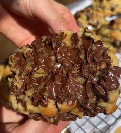 a person holding a chocolate covered cookie in their hand