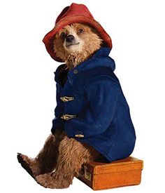 a stuffed bear wearing a blue coat and red hat sitting on top of a suitcase