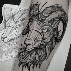 two rams with long horns on their legs