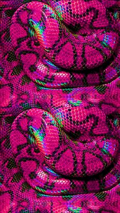 pink and green snake skin with black background