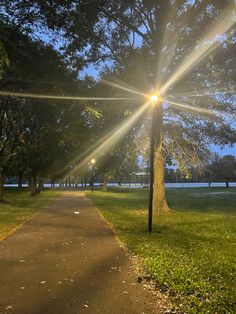 the sun shines brightly through the trees on this path in an open park area