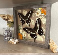 three butterflies sitting on top of a wooden frame next to rocks and flowers in a vase