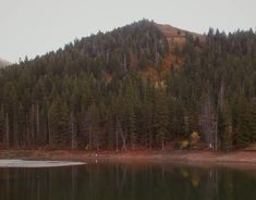 a lake surrounded by trees and mountains in the background