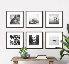 four black and white photographs hang on the wall above a table with a potted plant