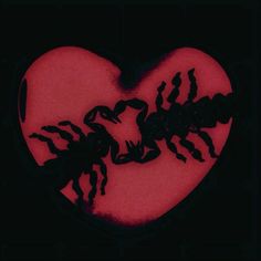 two scorpions in the shape of a heart