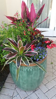 a potted planter filled with lots of different types of flowers and greenery