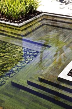 an empty bench sitting on top of a wooden floor next to a small pond filled with water