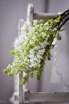 white flowers are hanging from the back of an old chair