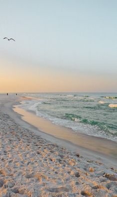 two birds flying over the ocean on a sandy beach at sunset with waves coming in