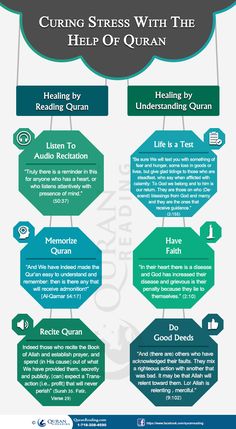 an info poster with different types of information