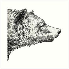 Bear Illustration, White Drawing, 문신 디자인, Bear Art, Black And White Drawing, Sleeve Tattoo, Animal Illustration, 그림 그리기